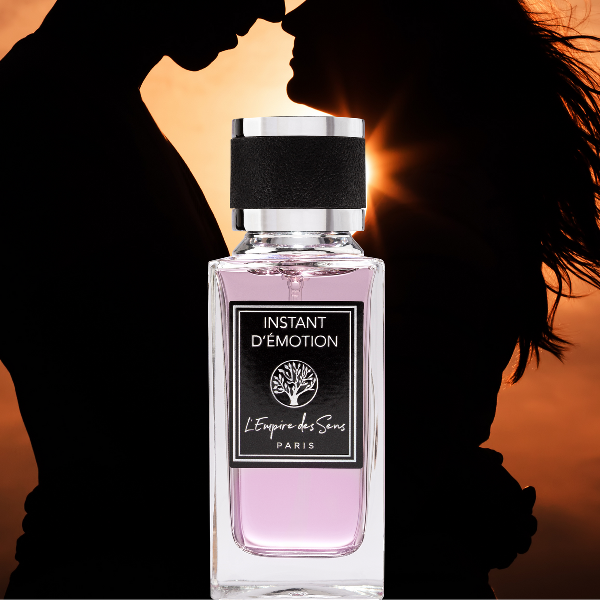 INSTANT D&#39;EMOTION